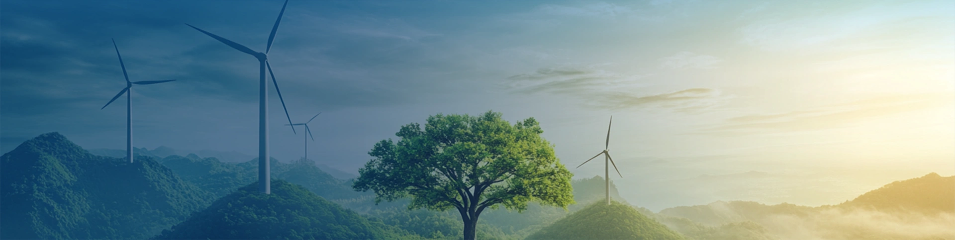 Innovación tecnológica