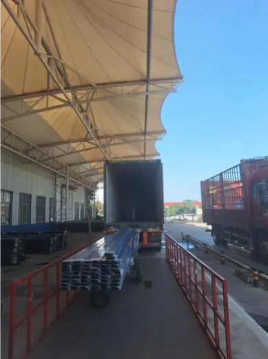 Crecer en América Latina a través del Idioma y la
